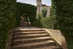 www.olmusfotografia.es