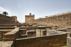 www.olmusfotografia.es
