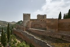 www.olmusfotografia.es