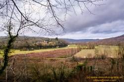 DSC05354