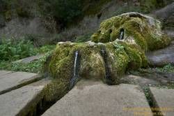 www.olmusfotografia.es