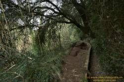 www.olmusfotografia.es
