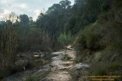www.olmusfotografia.es
