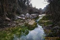 www.olmusfotografia.es