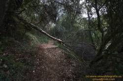 www.olmusfotografia.es