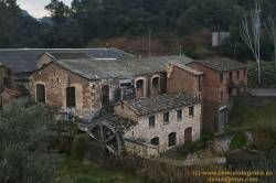 www.olmusfotografia.es