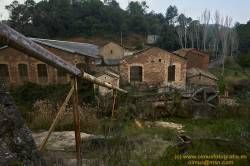 www.olmusfotografia.es