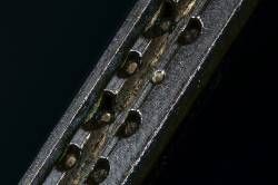 Llave