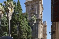 www.olmusfotografia.es