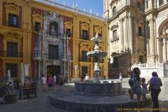 www.olmusfotografia.es