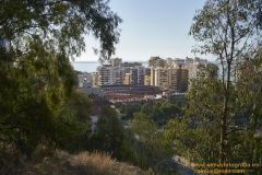 www.olmusfotografia.es