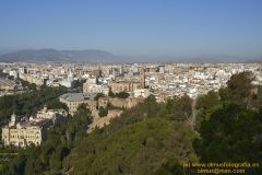 www.olmusfotografia.es