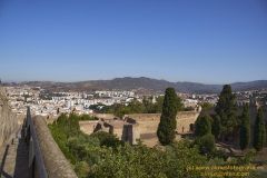 www.olmusfotografia.es