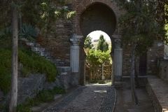 www.olmusfotografia.es
