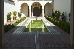 www.olmusfotografia.es