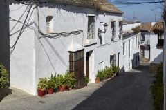 www.olmusfotografia.es