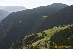 www.olmusfotografia.es