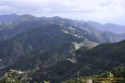 SONY DSC