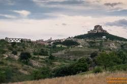 SONY DSC