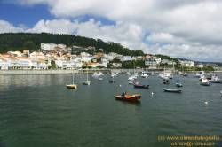SONY DSC