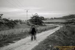 SONY DSC
