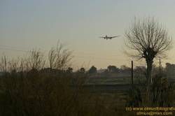 SONY DSC