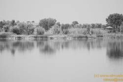 SONY DSC