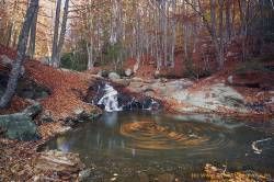 Fotografías de Santa Fe del Montseny