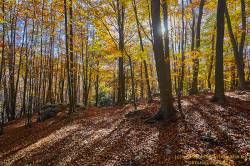 Fotografías de Santa Fe del Montseny