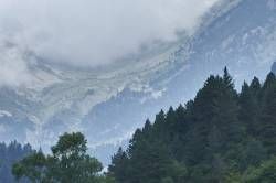 DSC05050