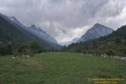 DSC05061