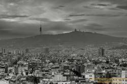 SONY DSC