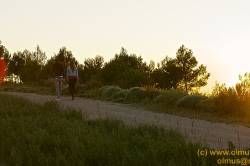 SONY DSC