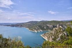 SONY DSC