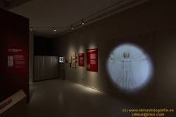 Román Pérez Hervás