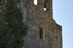 www.olmusfotografia.es