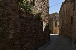 www.olmusfotografia.es