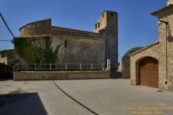 www.olmusfotografia.es