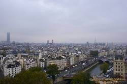 SONY DSC