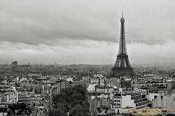 SONY DSC
