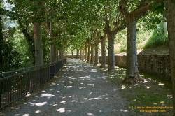 DSC04207