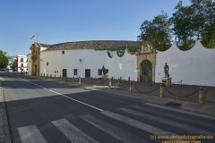 www.olmusfotografia.es