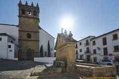 www.olmusfotografia.es