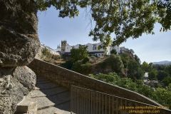 www.olmusfotografia.es