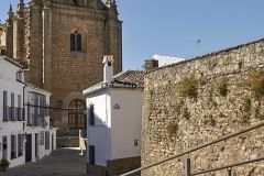 www.olmusfotografia.es