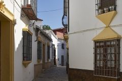 www.olmusfotografia.es