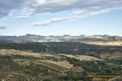 www.olmusfotografia.es