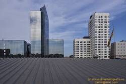 SONY DSC