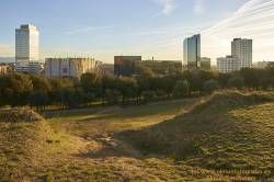 SONY DSC