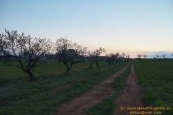 DSC00506